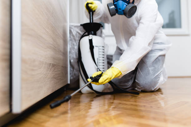 Best Residential Pest Control  in Lockhart, TX
