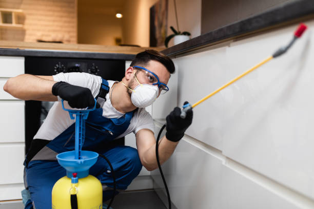 Pest Prevention Services in Lockhart, TX