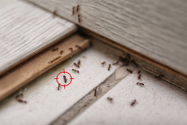Best Wildlife Control Services  in Lockhart, TX