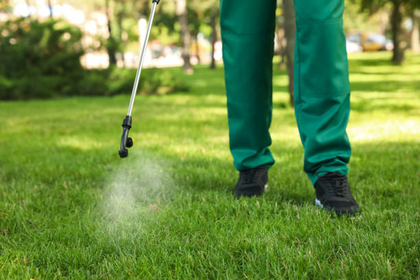 Best Termite Control Services  in Lockhart, TX