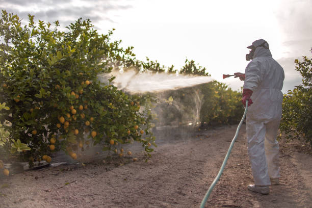 Best Exterminator Services  in Lockhart, TX