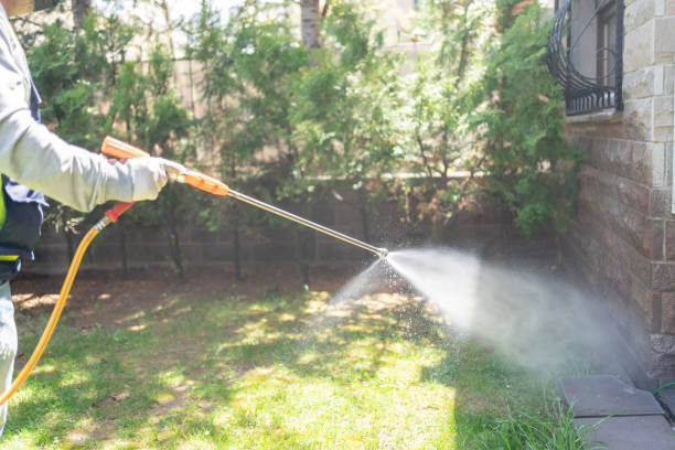 Best Best Pest Control Companies  in Lockhart, TX