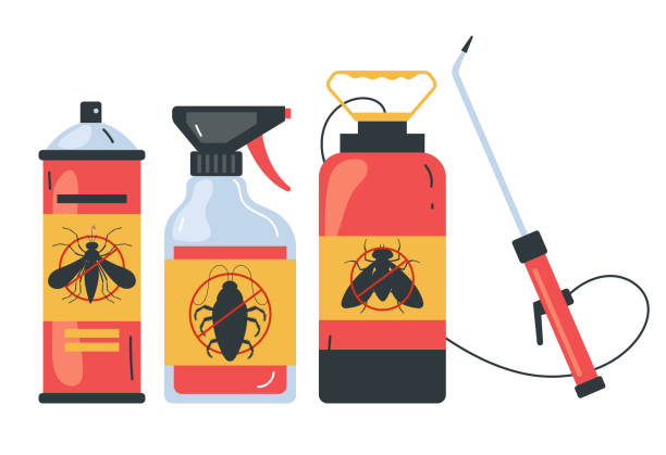 Reliable Lockhart, TX Pest Control Solutions