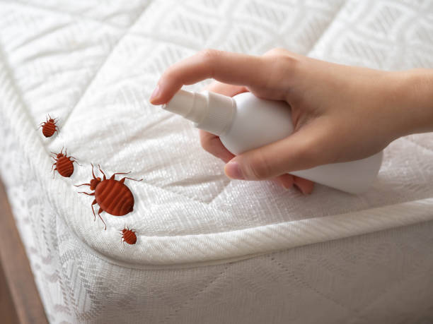 Best Emergency Pest Control  in Lockhart, TX