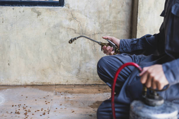 Best Flea Control Services  in Lockhart, TX